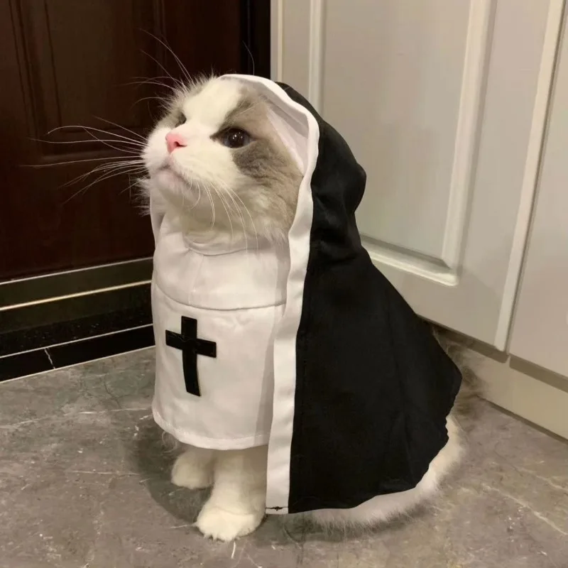 Fantasia de freira para gato e - Anime Cosplay Tiktok avaliação e preço