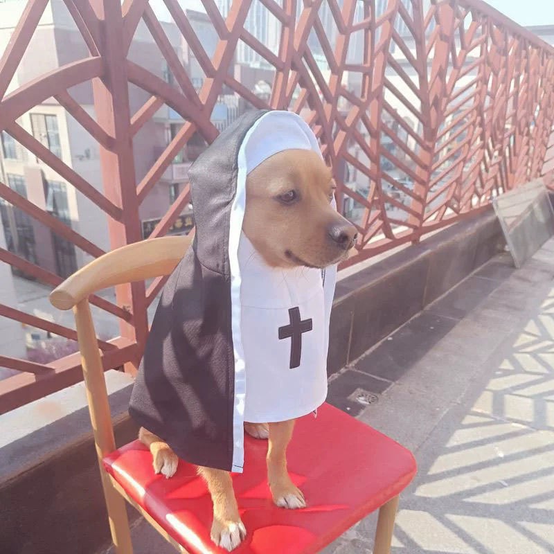 Fantasia de freira para gato e - Anime Cosplay Tiktok avaliação e preço